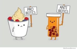 pro-vs-anti-biotics